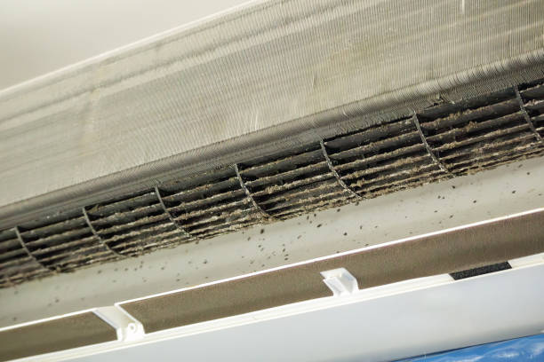 Affordable HVAC Duct Cleaning in Au Sable, MI